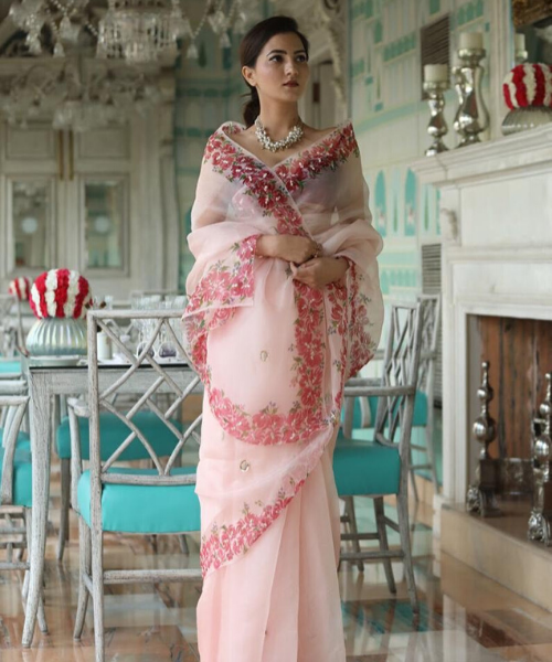 Peach Handpainted Organza Silk Saree