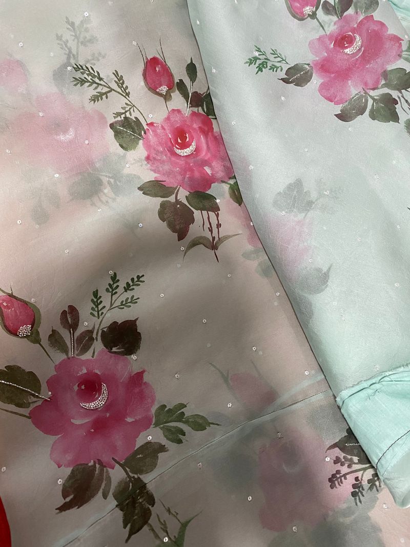 Handpainted Mint Green organza silk dupatta