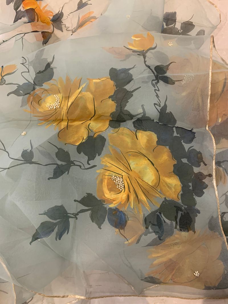 Handpainted Pastel grey organza silk dupatta