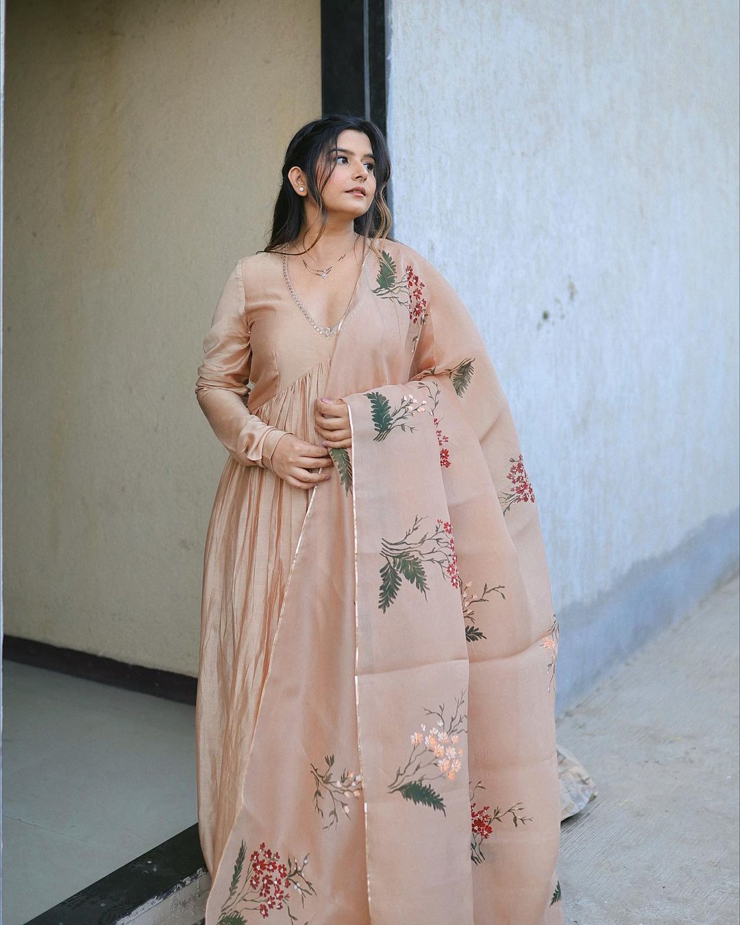 Handpainted Brown Hand Embroidered Anarkali Suit