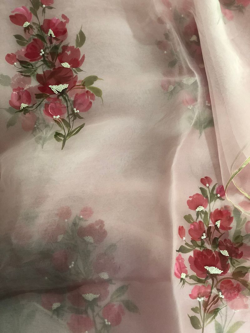 Handpainted Baby Pink organza silk dupatta