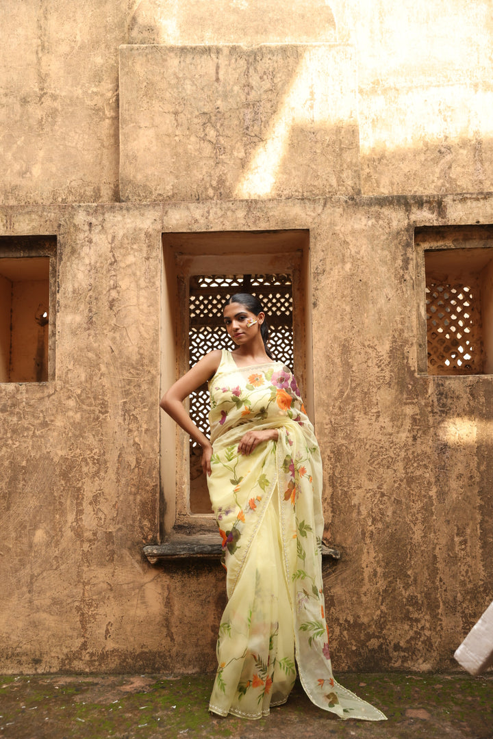 Handpainted organza silk saree hand embroidered with cutdana and pearl work