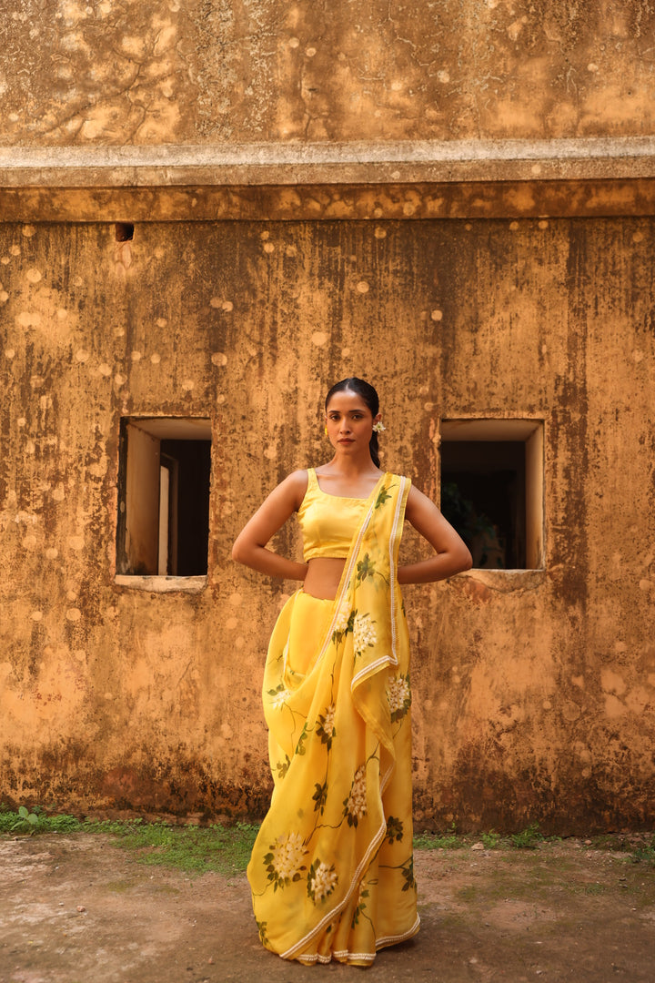 Handpainted pure organza satin saree hand embroidered with pearl border